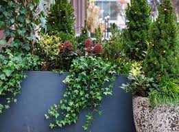 Jardinière pour plantes, fleurs et légumes bois naturel scellé toutes les jardinières sont munies d'un le parasol de patio de 10 pi est doté d'une protection uv 50+ et d'une solidité des couleurs de niveau européen. Balcon Ou Terrasse Oriente Nord Quelles Plantes Choisir