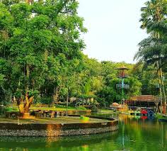 Daftar harga tiket wisata singapore updated 2021. Lokasi Rute Foto Dan Harga Tiket Masuk Taman Botani Jember