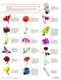 1000 flowers and their meanings. Pdf Wedding Flower Glossary Wedding Flowers Flowers Wedding