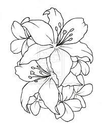 Hibiscus Flower Drawings Flower Drawing Simple Flower Tattoo