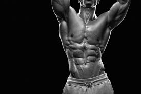 The Anatomy Of Your Abdominal Muscles