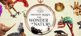 Welcome to the official uk vk page for #fantasticbeasts and where to find them. Fantastic Beasts Opens At The Natural History Museum Blooloop