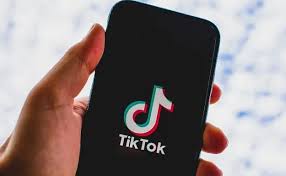 SnapTik Review: Is This TikTok Downloader Worth It? - Shopsy
