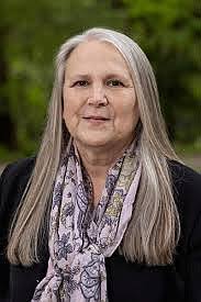 Runway Group, Blue Crane representatives answer Bella Vista officials'  questions about plans for land