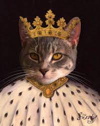 cat portrait custom cat portrait king cat portrait pet portrait custom pet portrait valentine s gift royal pet portraits from photo cat portraits custom cat portrait pet portraits
