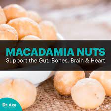 Why You Should Eat Macadamia Nuts Food Medicine Macadamia Nuts Food