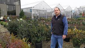 Wilt chamberlain was not stopped at all. Lurvey Home Garden Protecting Your Evergreens With Wilt Stop Youtube