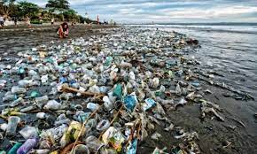 At the earth summit in rio de janeiro Why We Should Stop Water Pollution Flushgate Com