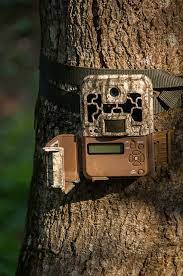 Maybe you would like to learn more about one of these? 5 Best Trail Cameras That Send Pictures To Your Phone Reivews 2021
