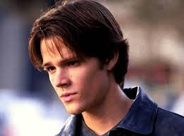 I notice this everytime I watch this season. It's season 2. Louise is  definitely wearing a wig. I wonder why. I assume it's probably because she  was doing something else and maybe