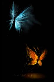 Download Full Screen Hd Butterfly Wallpapers Wallpaper Cave