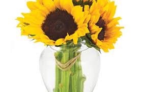 Maybe you would like to learn more about one of these? Medical Center Flowers And More 8452 Fredericksburg Rd San Antonio Tx 78229 Yp Com