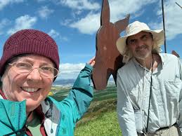 Camino route recommendations for bad knees