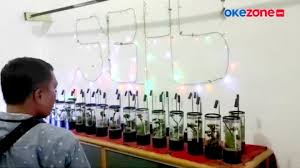 Nikmati juga pengalaman menyenangkan & lebih hemat untuk berbelanja aquarium ikan cupang dengan bebas ongkir hingga fitur cicilan 0. Unik Aquascape Ikan Cupang Dari Botol Bekas Okezone Video