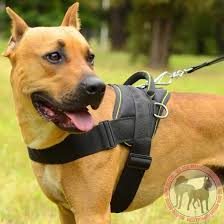 nylon tracking pitbull harness dog