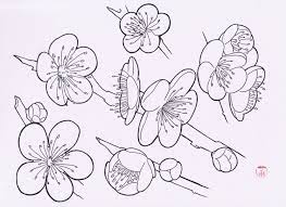 Sakura Flash By Laranj4 On Deviantart Flower Drawing Cherry Blossom Drawing Flower Drawing Images