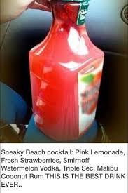 Pin By Savanna Dehner On Alcohol Recipes Hippie Juice Watermelon Vodka Drinks