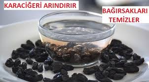 Yagli Karacigeri Arindiran Bagirsaklari Temizleyen Dogal Su Tatli Gida Dogal