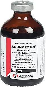 In humans, this includes head lice, scabies, river blindness (onchocerciasis), strongyloidiasis, trichuriasis, ascariasis. Ivermectin 1 Injection L Parasiticide For Treatment Control Of Internal External Parasites Of Cattle Swine I Medi Vet