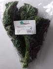 Col Kale