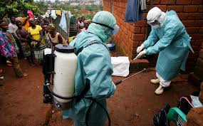 The five species of ebola virus are the only other known members of the filovirus family. Ap6fb1njgf2uhm