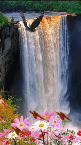 Nature wallpaper wallpaper nature live live nature nature landscape love creative graphics 3d abstract. Funny Animated Gif Images Free Download Gifs Tenor Beautiful Photos Of Nature Nature Pictures Beautiful Nature