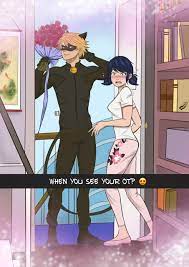 Find and save images from the marichat collection by miraculous ladybug. Miraculous Ladybug And Marichat Image 6689016 On Favim Com