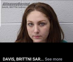 Allegany busted: DAVIS, BRITTNI SARAH Times Booked :: 6 DOB :: 1/1/1988  (30) Race/Sex :: W/F November 17, 2018 :: BURGLARY-FOURTH DEGREE * MAL DEST  PROP/VALU