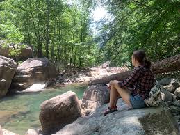 Money can't buy you happiness, but it can buy you coffee, which is kind of the same thing features: Fact Check Did Cs Lewis Give This Advice On Starting Over Check Your Fact