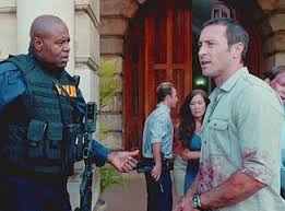 I>Hawaii Five-0</i>: 8 Things to Know About Season 4