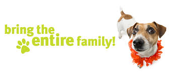 Rates shown below are averages. Myrtle Beach Pet Friendly Hotels Resorts Vrbo And Services