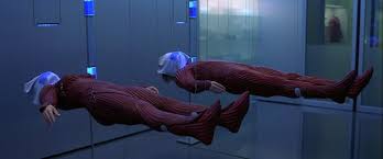 Agent persuades a social worker, who is adept with a new experimental technology. Examining The Cell Costumes 20 Years Later Film