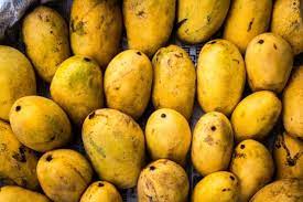 The mango is a member. Mango And Gout Should You Avoid Or Eat This Fruit