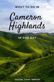 Four different tours are available ranging from an easy 40 minute stroll to a strenuous three and a half hours which involves wading through underground rivers. What To Do In Cameron Highlands In One Day Deegees Travel Malaysia