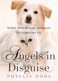 A compilation of angel quotes and inspiration about the angelic realm gathered by melanie beckler, from many different sources. Angels In Disguise When God Sends Animals To Comfort Us Phyllis Hobe 9780824947828 Amazon Com Books