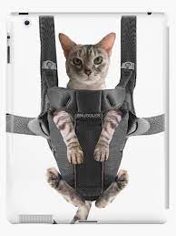 Cat In Baby Carrier Ipad Case Skin By Del0860 Redbubble