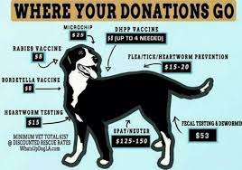 Animal Rescue Where Your Donations Go Animal Shelter Fundraiser Animal Rescue Ideas Animal Shelter Donations