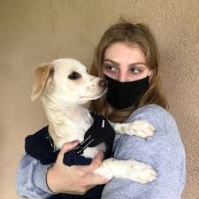 Maybe you would like to learn more about one of these? Photos At Ramona Humane Society Animal Shelter In San Jacinto