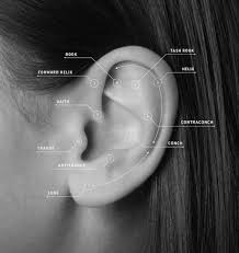 Knowing precisely after how long you should change your earrings after an ear piercing helps in caring for your open wound effectively. Ear Piercings Absolutely Everything You Need To Know Grazia