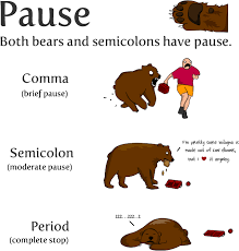 You can join independent clauses. How To Use A Semicolon The Oatmeal