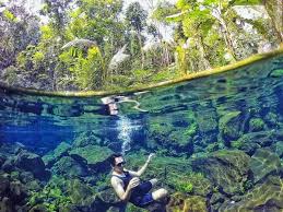 Selain bisa menikmati panorama yang memesona, di sini pengunjung juga bisa melihat kekayaan flora dan fauna. Kuningan News Kuningan Terkini