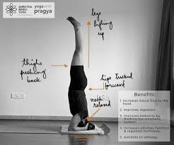 Sirsasana Archives Yoga With Pragya