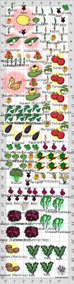 Garden Plan 2013 Rooftop Fruit Garden Layout Garden Layout Vegetable Vegetable Garden Planning