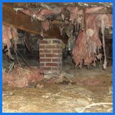 While they may cost more to install than other types of ventilation, they. Insulation Contractor Rodent Proofing Nj Pa Master Attic