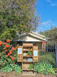 Top 50 South Aussie Permaculture Gardening Farming Instagram Accounts To Follow Koren Helbig