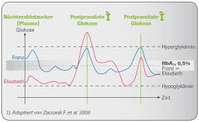 Bei diabetes mellitus muss der blutzuckerspiegel beobachtet und behandelt werden. Nach Dem Essen Messen Nicht Vergessen Accu Chek