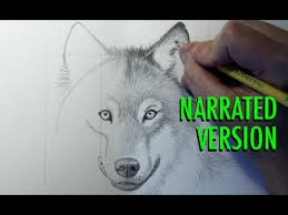 How to draw a wolf howling at the moon. How To Draw A Wolf Narrated Youtube