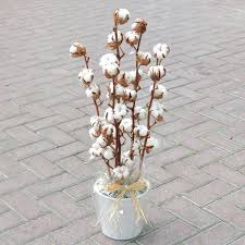 5 out of 5 stars. Forever Rose Dubai Infinity Rose Dubai Dried Flowers Dried Flower Bouquet Dried Flower Arrangements