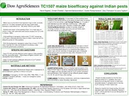 The maize crop generally, grows under temperatures between 22°c to 30°c and its maximum tolerates as 35°c temperatures. Pdf Tc1507 Maize Bioefficacy Against Indian Pests