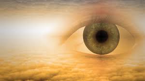 Their Eyes Were Watching God Study Guide Course - Online Video ...
